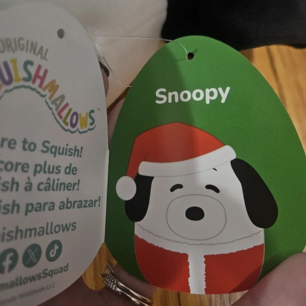 NWT Squishmallows Peanuts 8